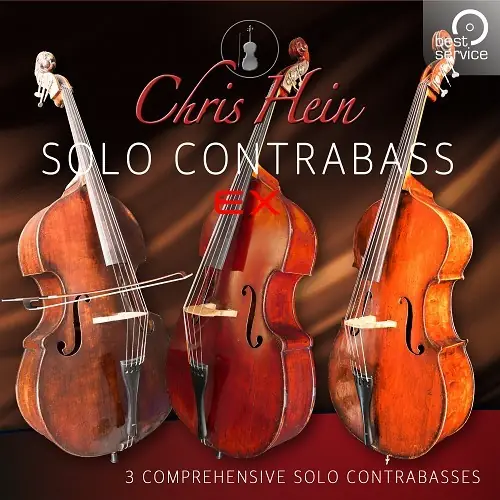 Chris Hein Solo ContraBass EXtended
